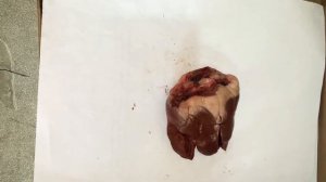 Шов по Опелю