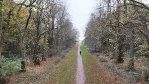 12624781_3840_2160_30fps