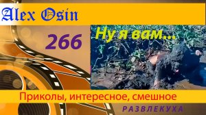 Ну я вам... Выпуск 266 Приколы и шутки. Юмор и интересное. Хохма и ржака