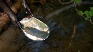 Фильм "Тень"