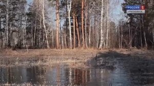 Про зайцев. Фильм Сергея Герасимова