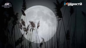 Клиническая смерть  Свидетельство очевидца история Йоэля