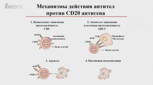 «Биография терапевтических антител». Гость: Филатов А.В.