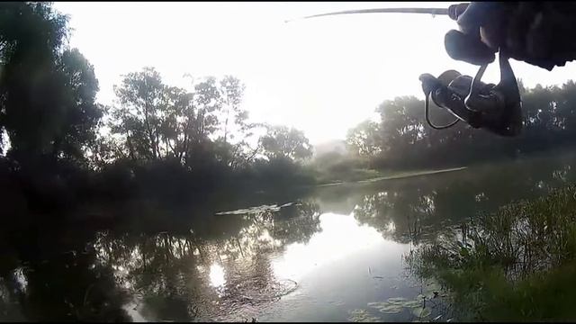 20 08 2016 10 смотреть онлайн