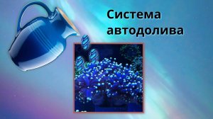 Запуск Патч-рифа. Система автодолива