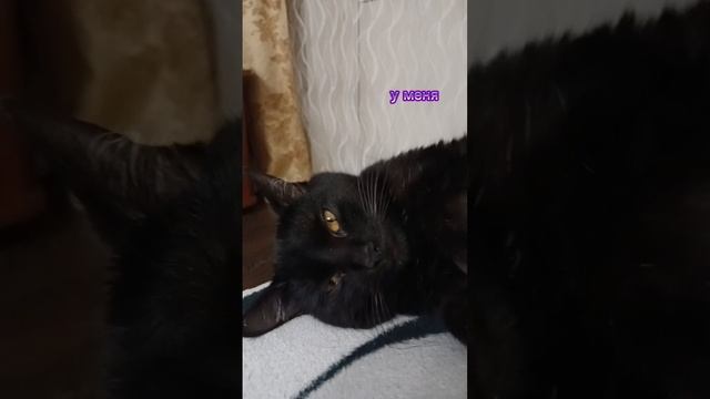 1000000421.mp4