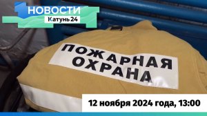 Новости Алтайского края 12 ноября 2024 года, выпуск в 13:00