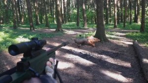 Тест AWP ORBEEGUN