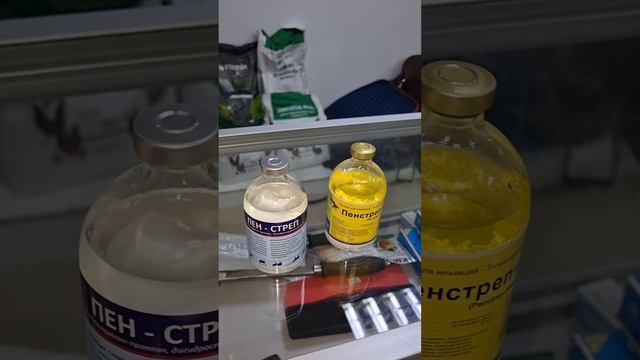 Жабағы, тай, бұзау жөтеліп, мұрнынан боғы ағып тұрғанды емдеу смотреть онлайн