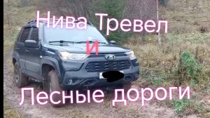 Лада Нива Тревел /ДождливаяОсень/Лес/Грязь Дороги. #ниватревел #покатушки #деревня