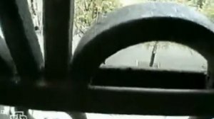 Криминальная Россия. 12 отдел.