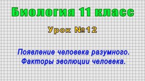 Биология 11 класс (Урок№12 - Появление человека разумного. Факторы эволюции человека.)