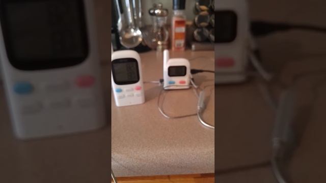 Vinsic® Wireless Grill Thermometer with Dual Probes and Rechargeable Batteries смотреть онлайн