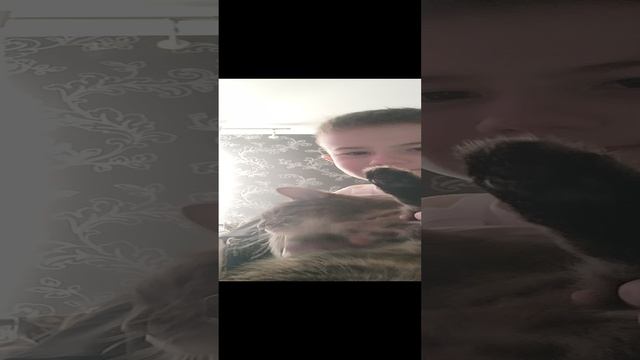 танцующей кот 🐱🐈