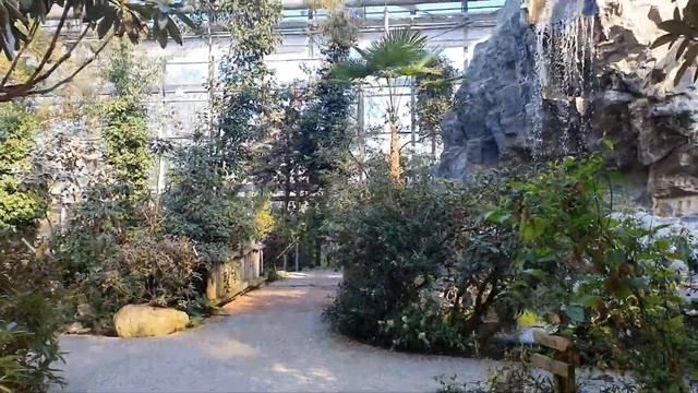 Пробная заливка видео. Ботаника смотреть онлайн