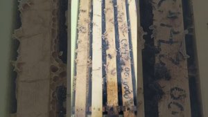 Шестирамочник, подробнее ...