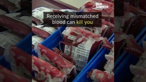 Paper strip test determines blood type