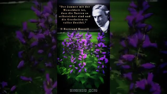 Bertrand Russell | Zitate und Sprüche  #shorts #zitate #sprüche