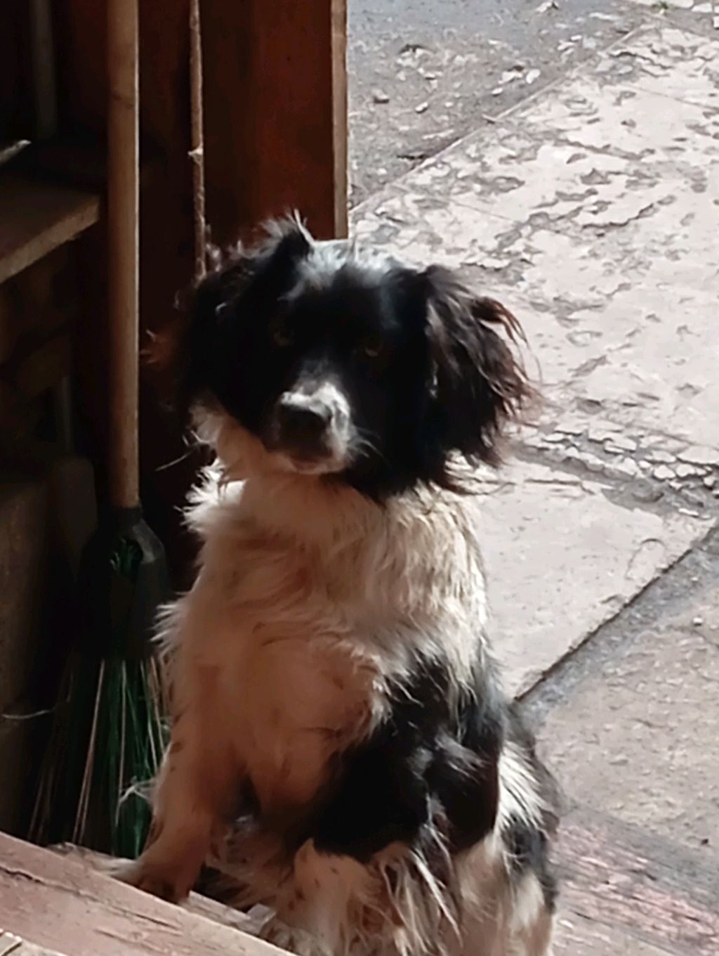 обзор на конструктор робот смотреть онлайн