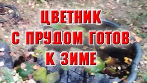 Цветник с прудом вычистила, обрезала все, к зиме подготовила
