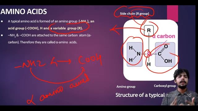 Biomolecules  | Class 11 NCERT |QUICK REVISION SERIES | DR. SHUBHAM MULEY