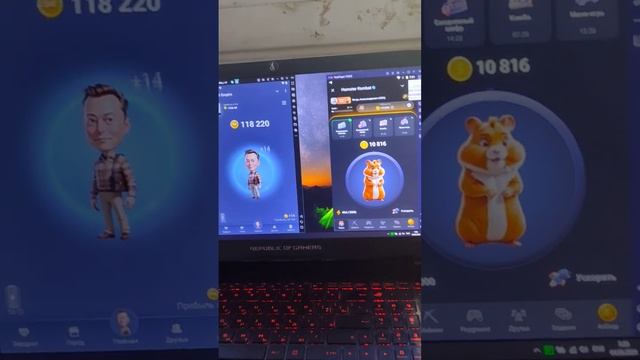 автоматическая тапалка X Empire и Hamster Kombat смотреть онлайн