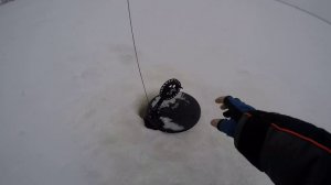 Ловим щуку на жерлицы.