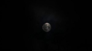 Наглая Невестка не пускала Свёкров на Порог, но когда узнала, на кого оформлена квартира, было...