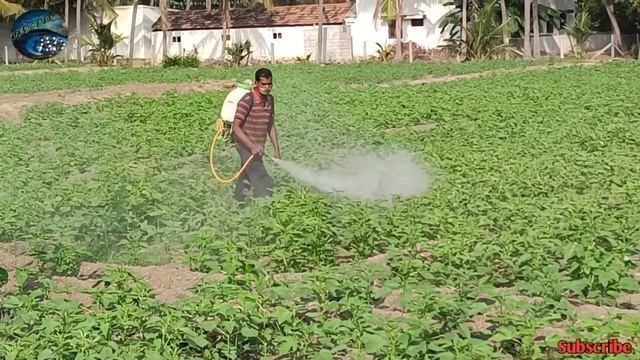7 Star Power Sprayer || 16L Sprayer || Knapsack || Pesticide