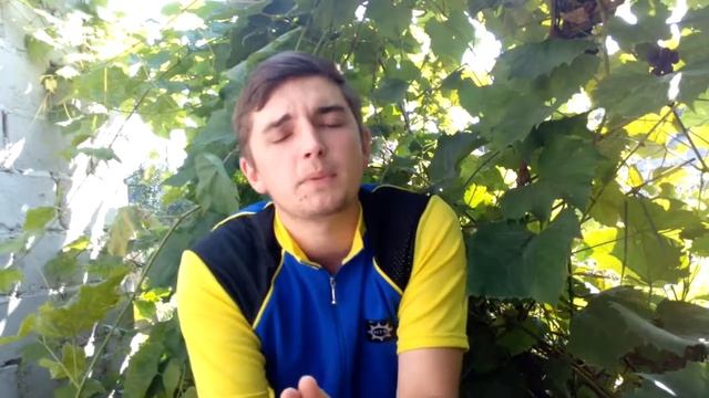 Екологія на англійській мові