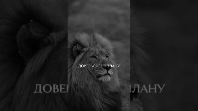 #испытания #тольковперёд #дагестан #саморазвитие #саморазвитие #любовь #цитаты #успех #философия