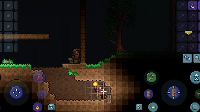 играю с другам в террарию