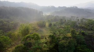 3145223-uhd_3840_2160_30fps