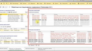 Обзор стационара в программе ENOTE