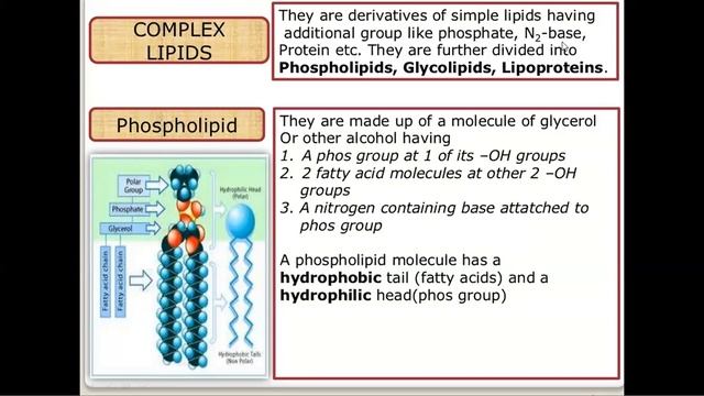 Lipids / Biomolecules
