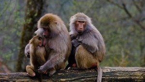 20776132-uhd_3840_2160_30fps