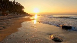 The ABC Murders🎧Poirot Mystery🎧 Agatha Christie 1936 Detective Radio Play to Relax, Calm & Success