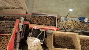 Miedema SB 1051 + Web Grader