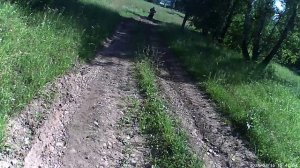 Легкая мотопрогулка по хорошей лесной дороге. часть 2
