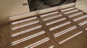Освещение для клубники 1500W | Фитолампы для клубничной ситифермы
