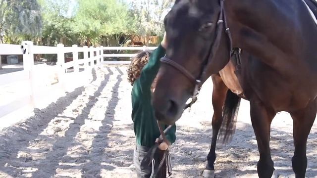 Barnyard Fun in Comfort with pediped® Style смотреть онлайн