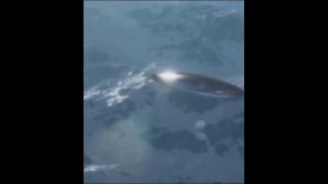 Россия, Алтайский край, 2022 год