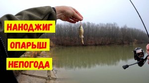 Наноджиг. Опарыш. Непогода.