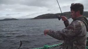 Сказочная рыбалка с берега. Спиннинг.