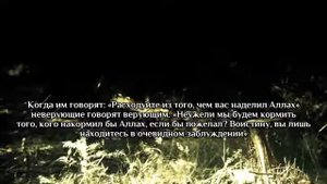 Мухаммад аль-Люхайдан, Сура Йа Син (Ясин)