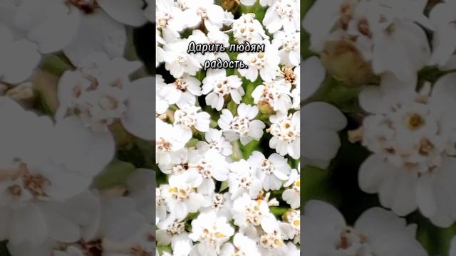#жизнь#видео#счастье#состояниедуши#моменты#мысли#любовь#мгновения