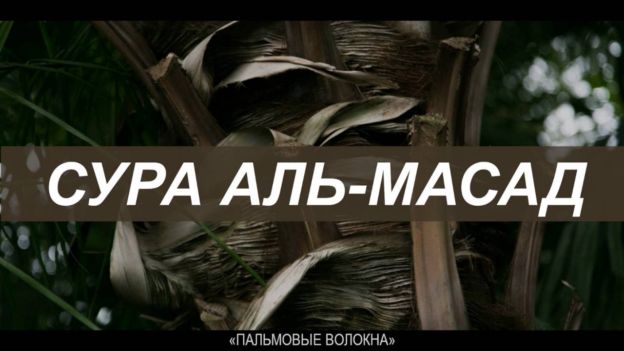 Сура 111 Аль-Масад Пальмовые волокна 7 раз смотреть онлайн