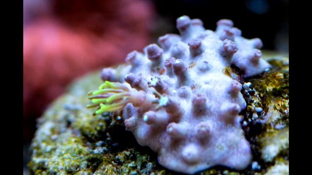 пробуждение смотреть онлайн