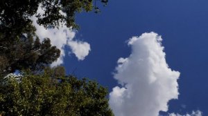 Турция 2019 г