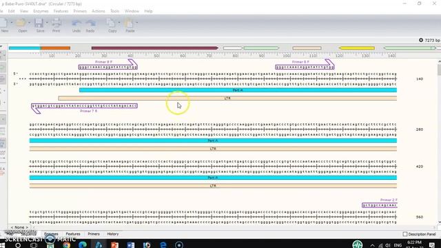 Design primers to amplify small DNA fragments.OVERLAP pcr. PART 1. смотреть онлайн